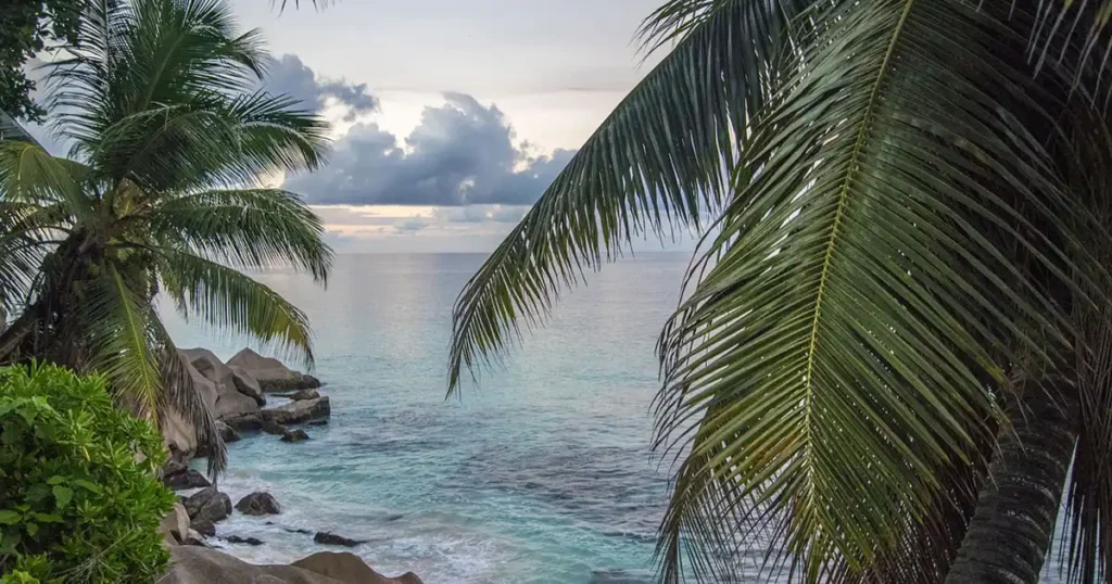 Rugby in Fiji, Samoa und Tonga